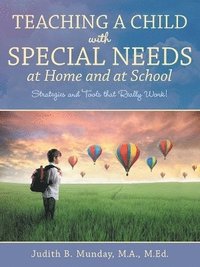 bokomslag Teaching a Child with Special Needs at Home and at School