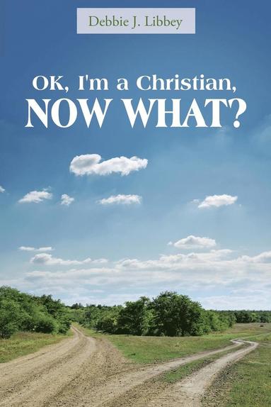bokomslag OK, I'm a Christian, NOW WHAT?