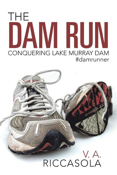 bokomslag Dam Run