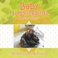 bokomslag Baby Hummingbirds