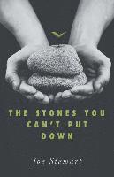 bokomslag The Stones You Can't Put Down