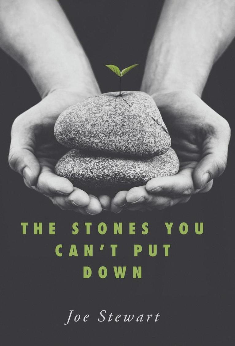 Joe Stewart - Stones You Can't Put Down, Inbunden