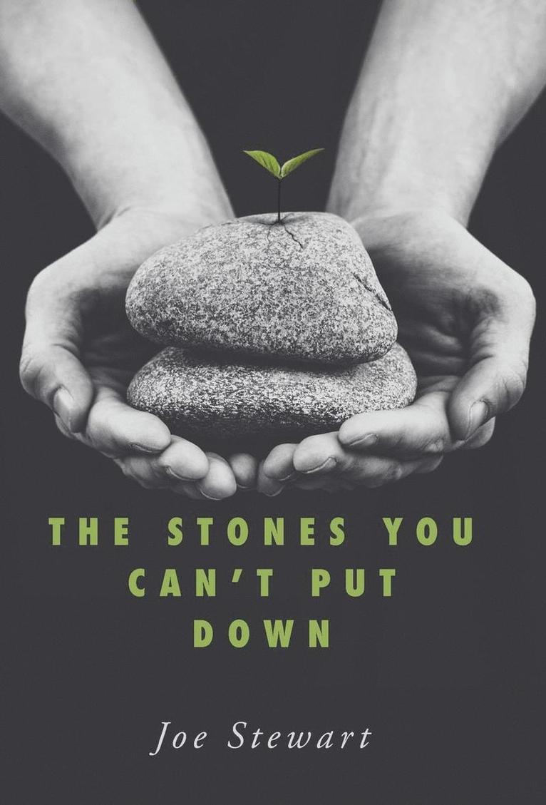 The Stones You Can't Put Down 1