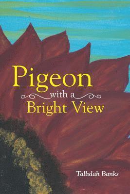 Pigeon with a Bright View 1