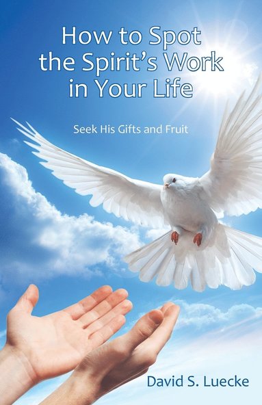 bokomslag How to Spot the Spirit's Work in Your Life