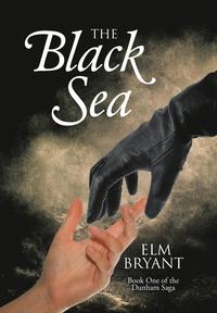 bokomslag The Black Sea