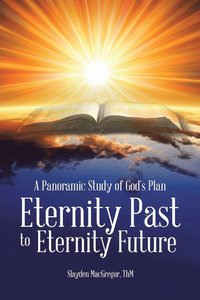 bokomslag A Panoramic Study of God's Plan