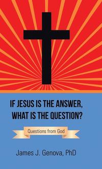 bokomslag If Jesus Is the Answer, What Is the Question?