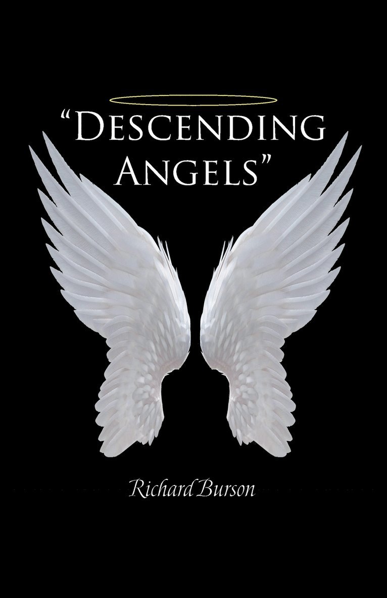 &quot;Descending Angels&quot; 1