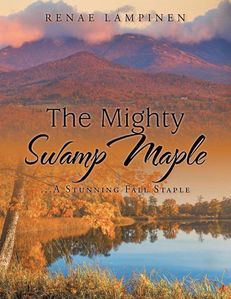 The Mighty Swamp Maple 1