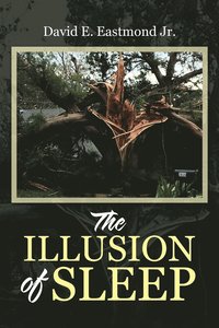 bokomslag Illusion of Sleep