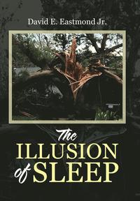 bokomslag Illusion of Sleep