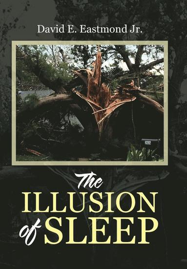 bokomslag Illusion of Sleep