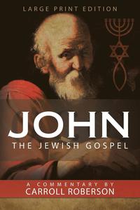 bokomslag John The Jewish Gospel