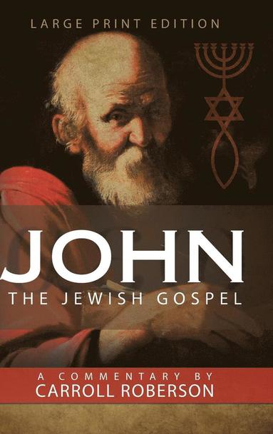 bokomslag John The Jewish Gospel