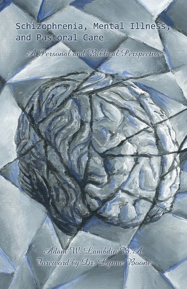 bokomslag Schizophrenia, Mental Illness, and Pastoral Care