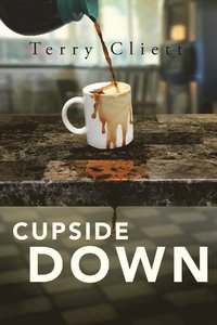 bokomslag Cupside Down
