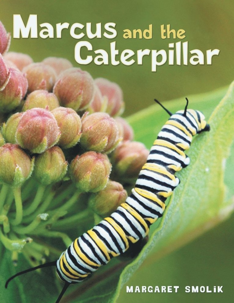 Marcus and the Caterpillar 1