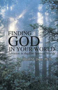 bokomslag Finding God in Your World
