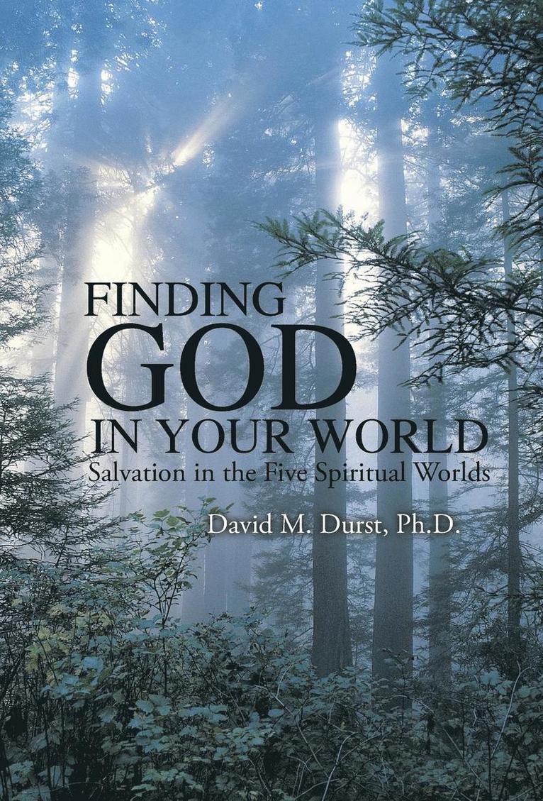 David M Durst, David M. Durst, Ph.D. David M. Durst - Finding God in Your World, Inbunden