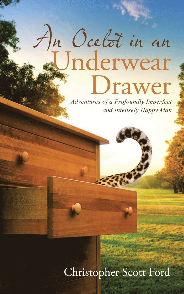 An Ocelot in an Underwear Drawer 1