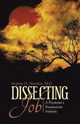 Stephen D Harrison, Stephen D. Harrison, Stephen D. Harrison M.D., Stephen D. Harrison M. D. - Dissecting Job, Häftad