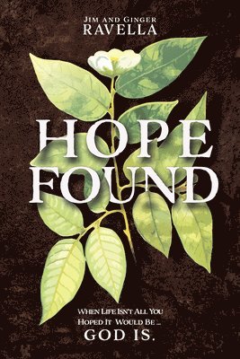 bokomslag Hope Found: When Life Isn't All You Hoped It Would Be. God Is.