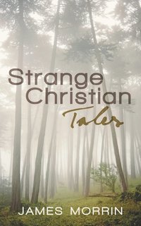 bokomslag Strange Christian Tales
