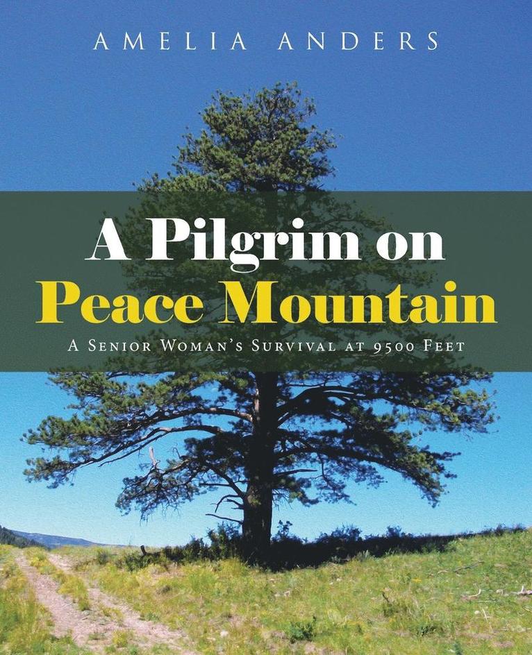 A Pilgrim on Peace Mountain 1