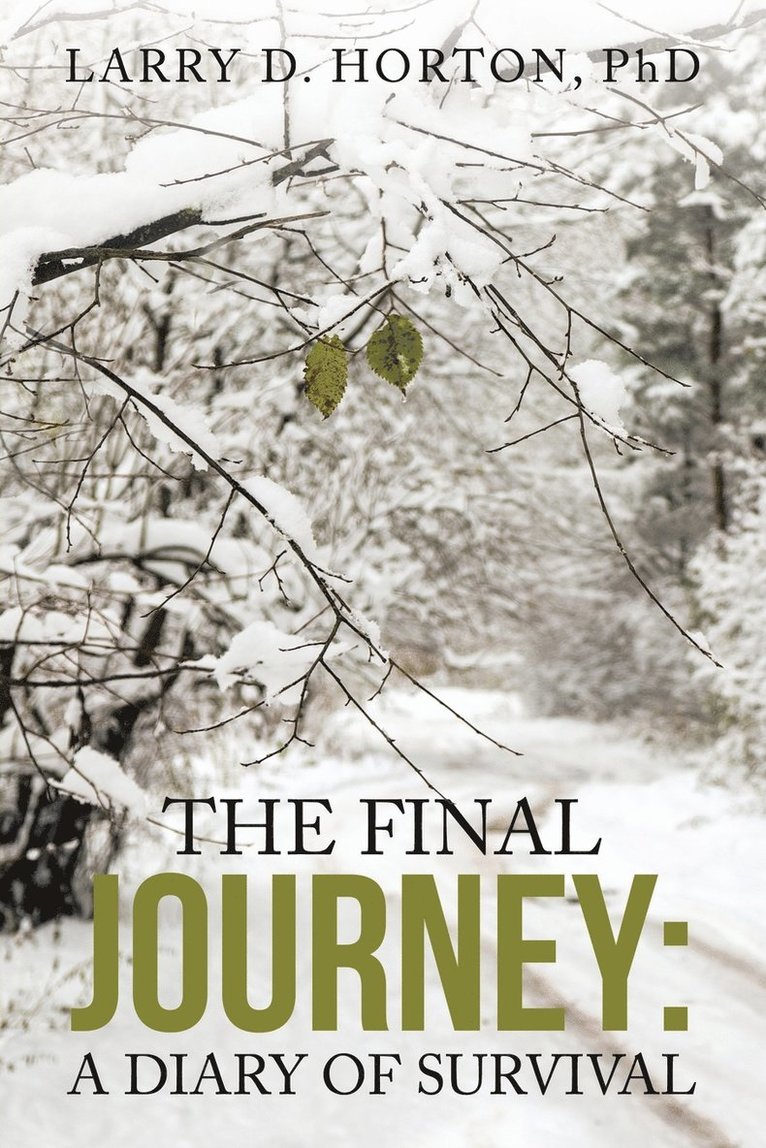 The Final Journey 1