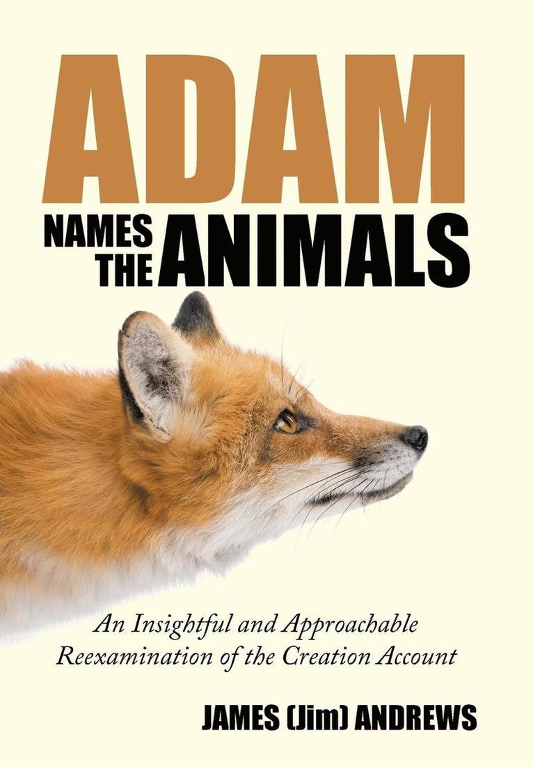Adam Names the Animals 1