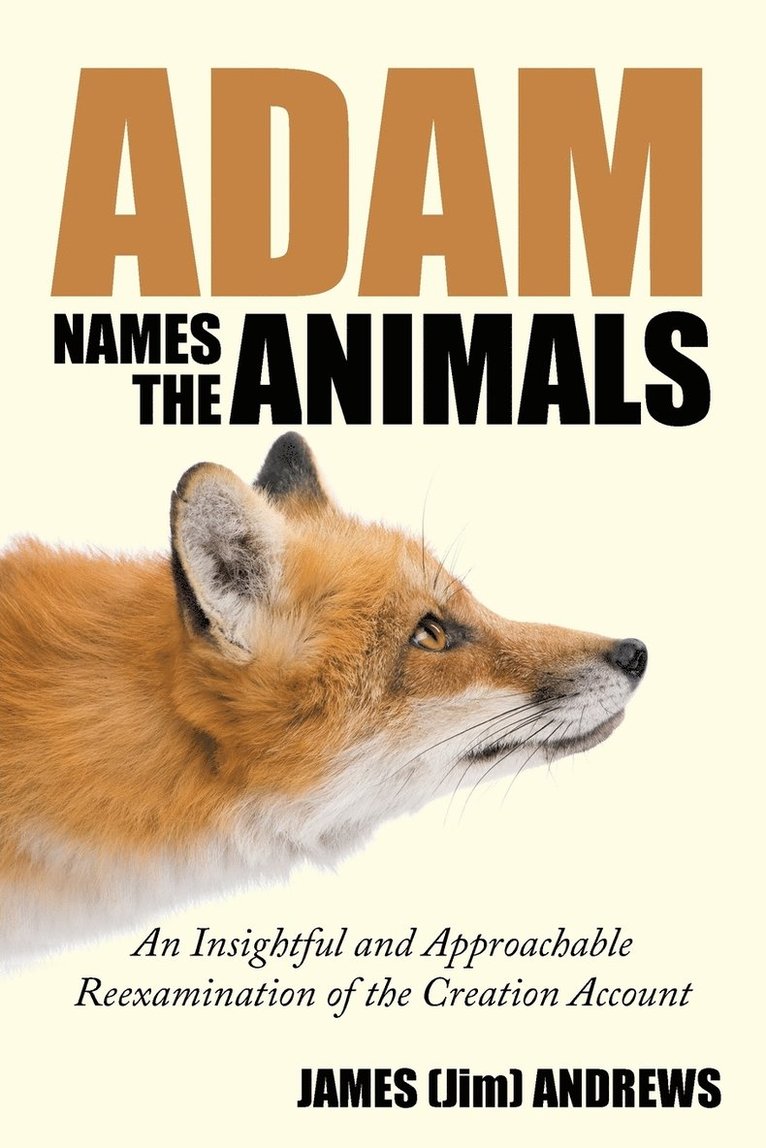 Adam Names the Animals 1