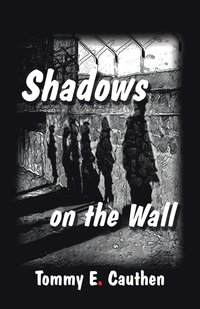 bokomslag Shadows on the Wall