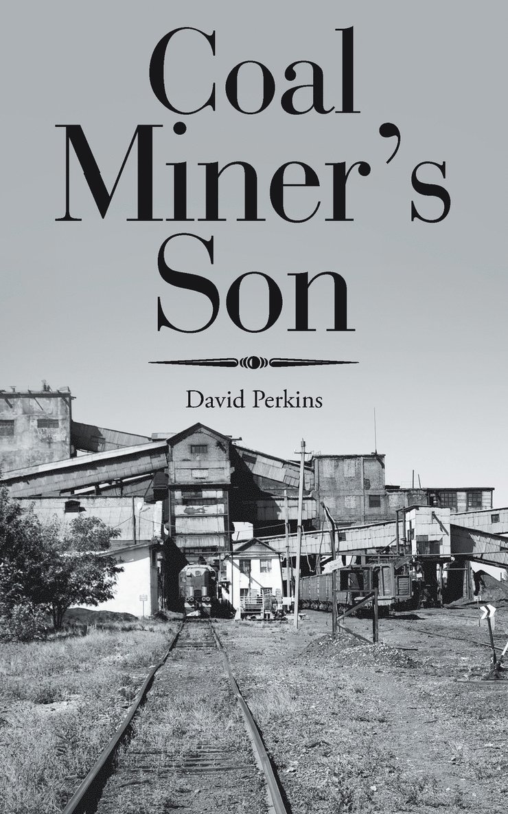 David Perkins - Coal Miner's Son, Häftad