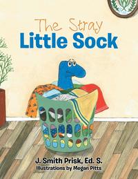 bokomslag The Stray Little Sock