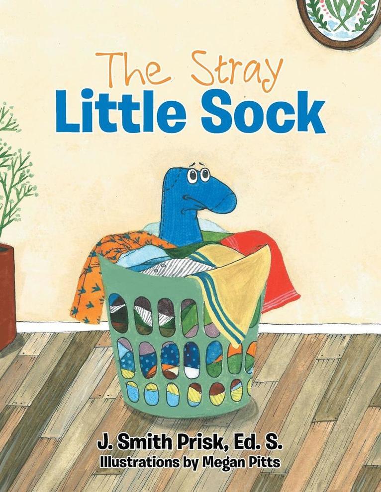 The Stray Little Sock 1