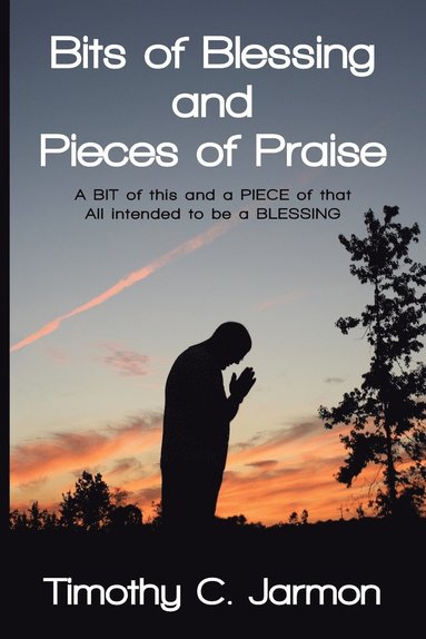 bokomslag Bits of Blessing and Pieces of Praise