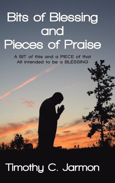 bokomslag Bits of Blessing and Pieces of Praise