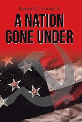 bokomslag Nation Gone Under