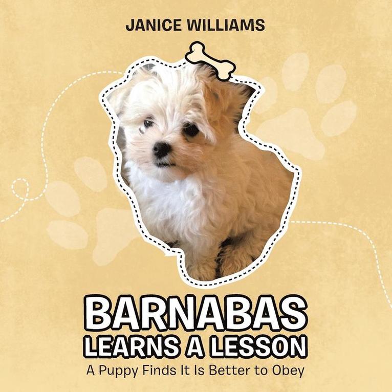 Janice Williams - Barnabas Learns a Lesson, Häftad