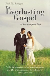 bokomslag The Everlasting Gospel