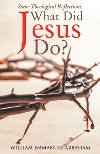 bokomslag What Did Jesus Do?