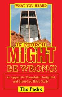 bokomslag What You Heard in Church Might Be Wrong!