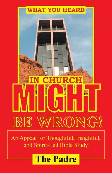 bokomslag What You Heard in Church Might Be Wrong!