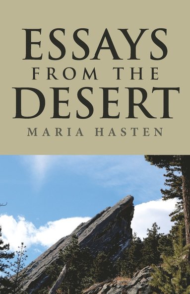bokomslag Essays from the Desert
