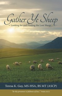 bokomslag Gather Ye Sheep