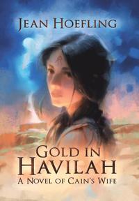bokomslag Gold in Havilah