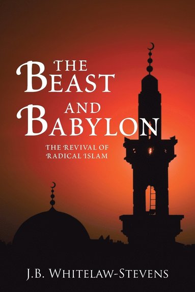 bokomslag Beast and Babylon
