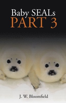 Baby Seals 1