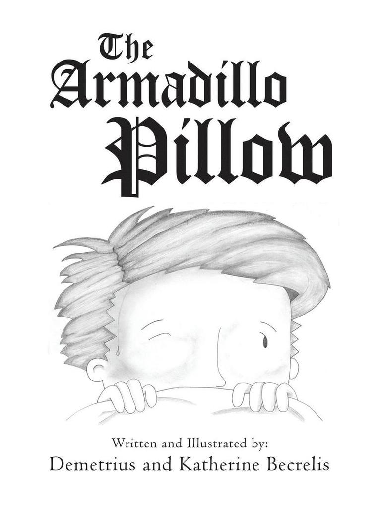 The Armadillo Pillow 1